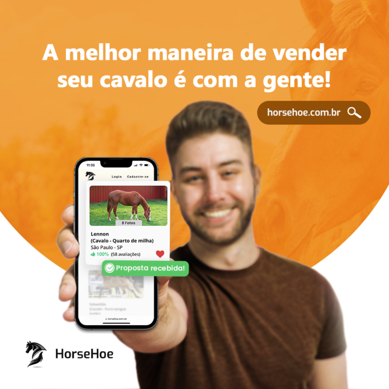 HorseHoe-Feed-1080x1080-A melhor maneira de vender