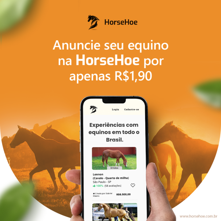 HorseHoe-Feed-1080x1080-Atualizado